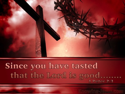 1 Peter 2:3 Since You Have Tested That God Is Good (red)